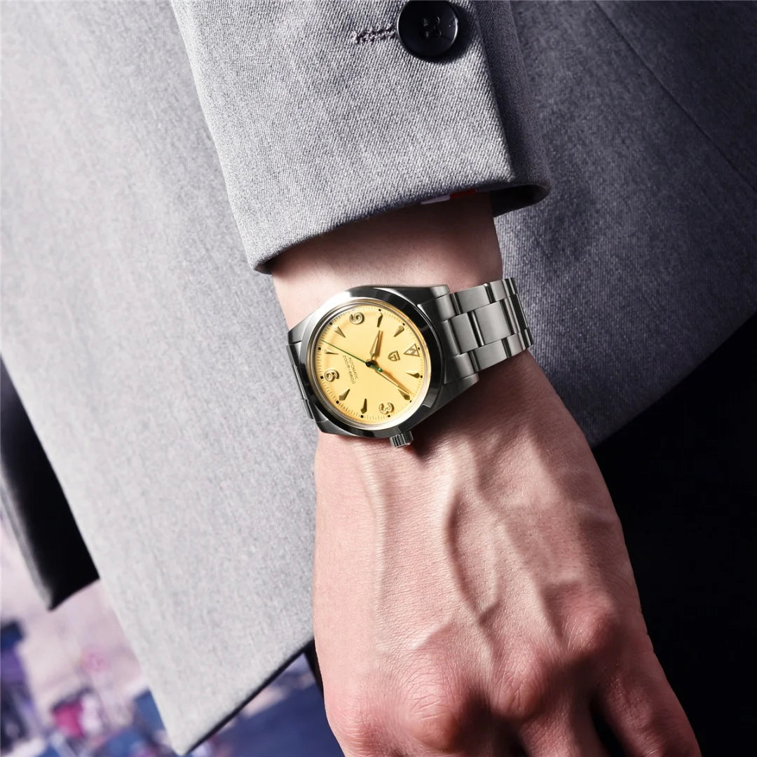 Montre PAGANI DESIGN PD-1723